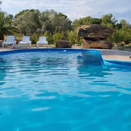 Casa Con Vistas, Piscina Y Animales De Granja, La Caseta Tarragona Dış mekan fotoğraf