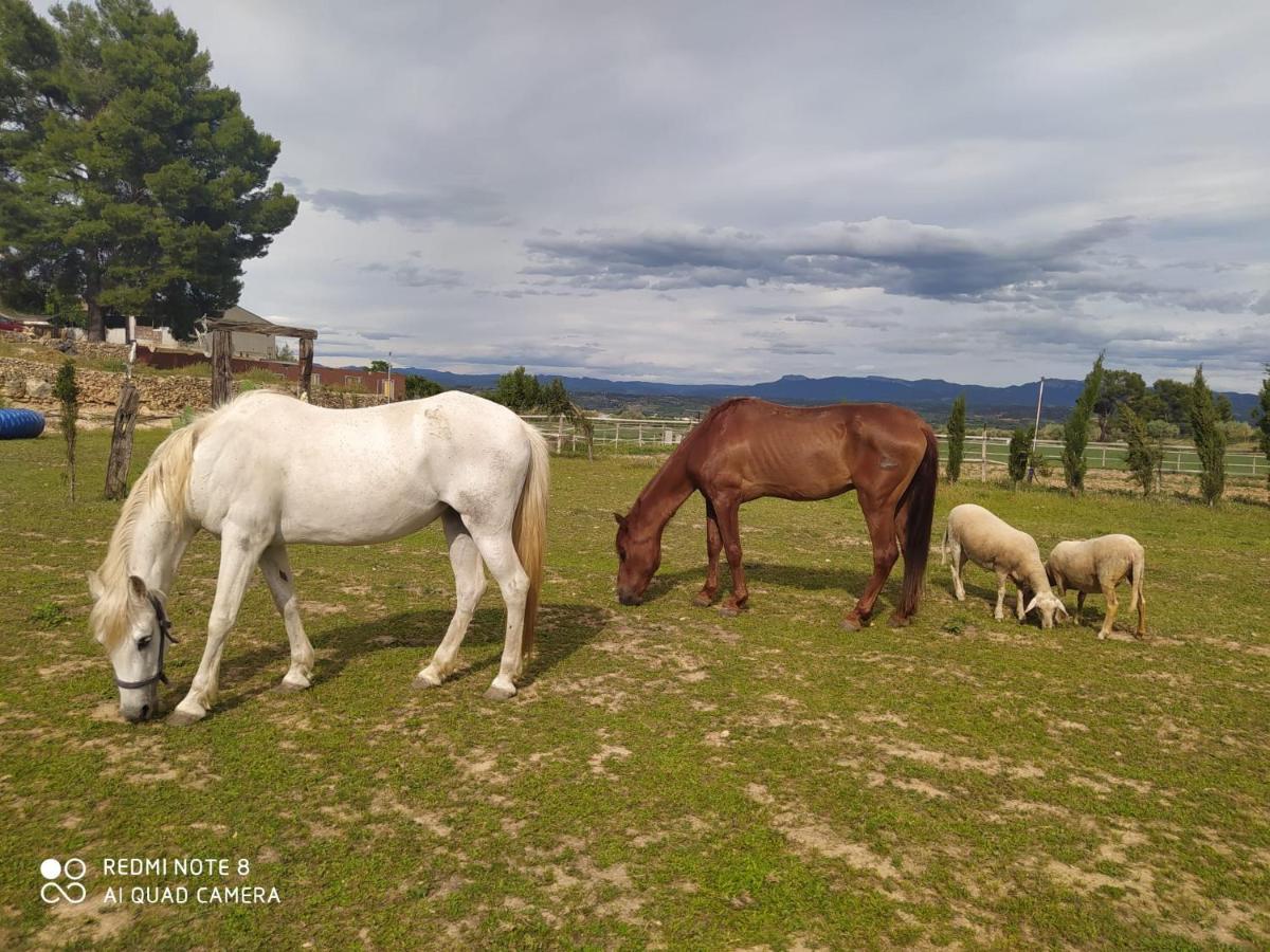 Casa Con Vistas, Piscina Y Animales De Granja, La Caseta Tarragona Dış mekan fotoğraf