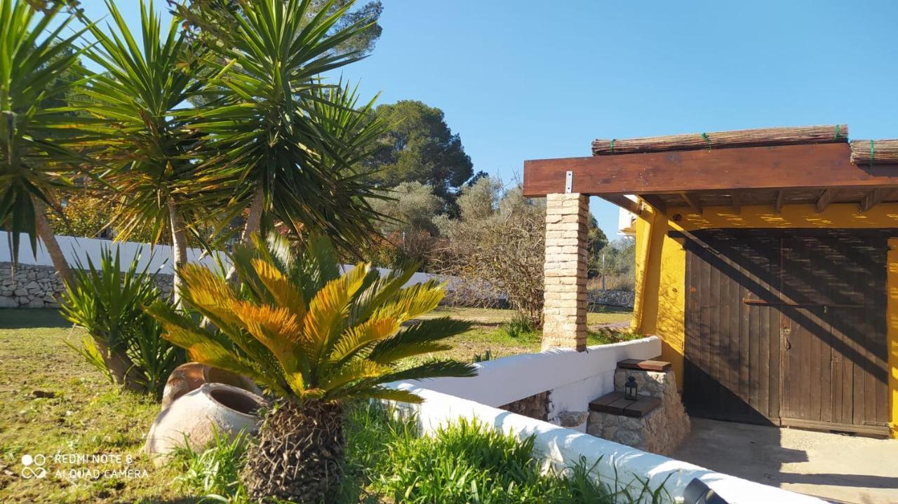 Casa Con Vistas, Piscina Y Animales De Granja, La Caseta Tarragona Dış mekan fotoğraf