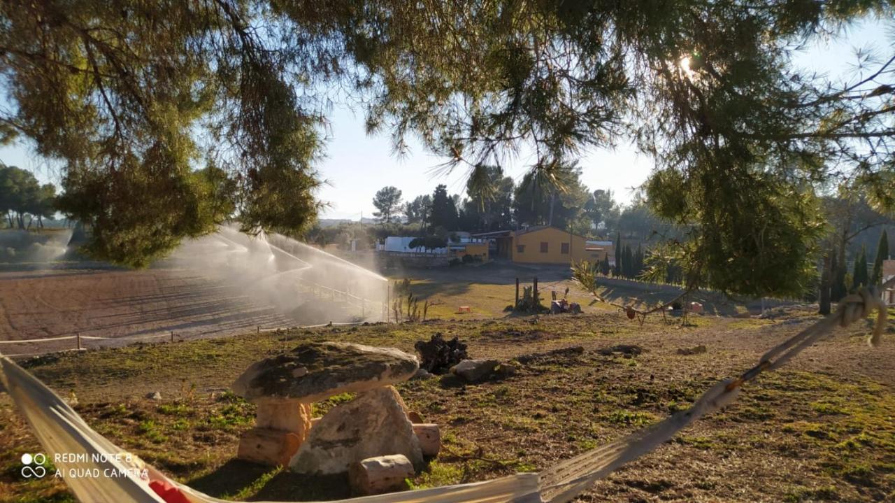 Casa Con Vistas, Piscina Y Animales De Granja, La Caseta Tarragona Dış mekan fotoğraf