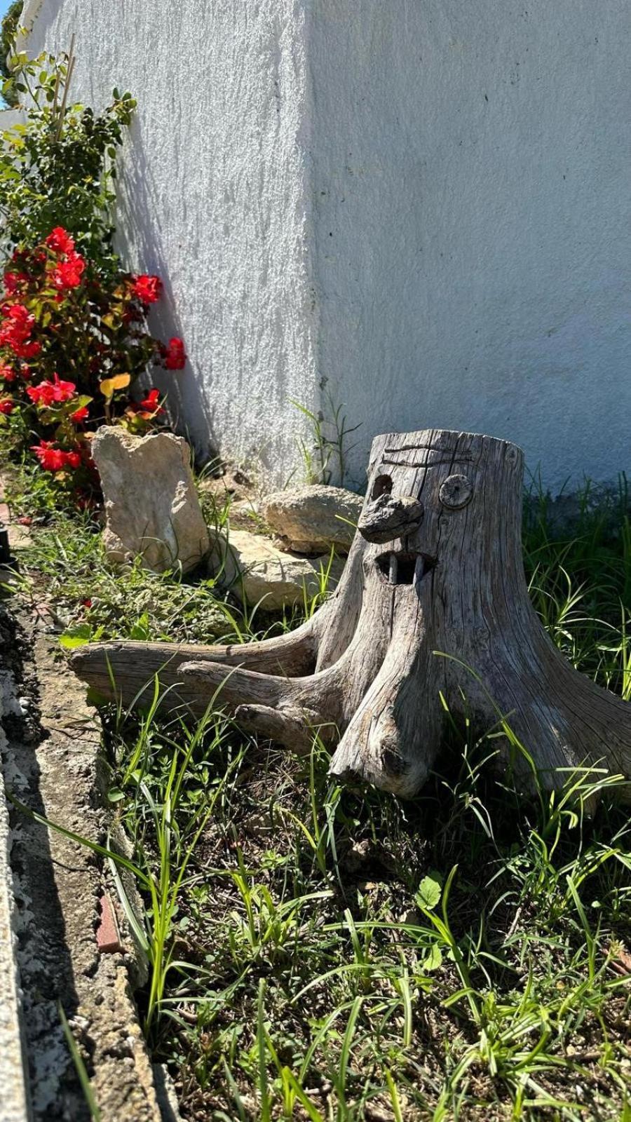 Casa Con Vistas, Piscina Y Animales De Granja, La Caseta Tarragona Dış mekan fotoğraf