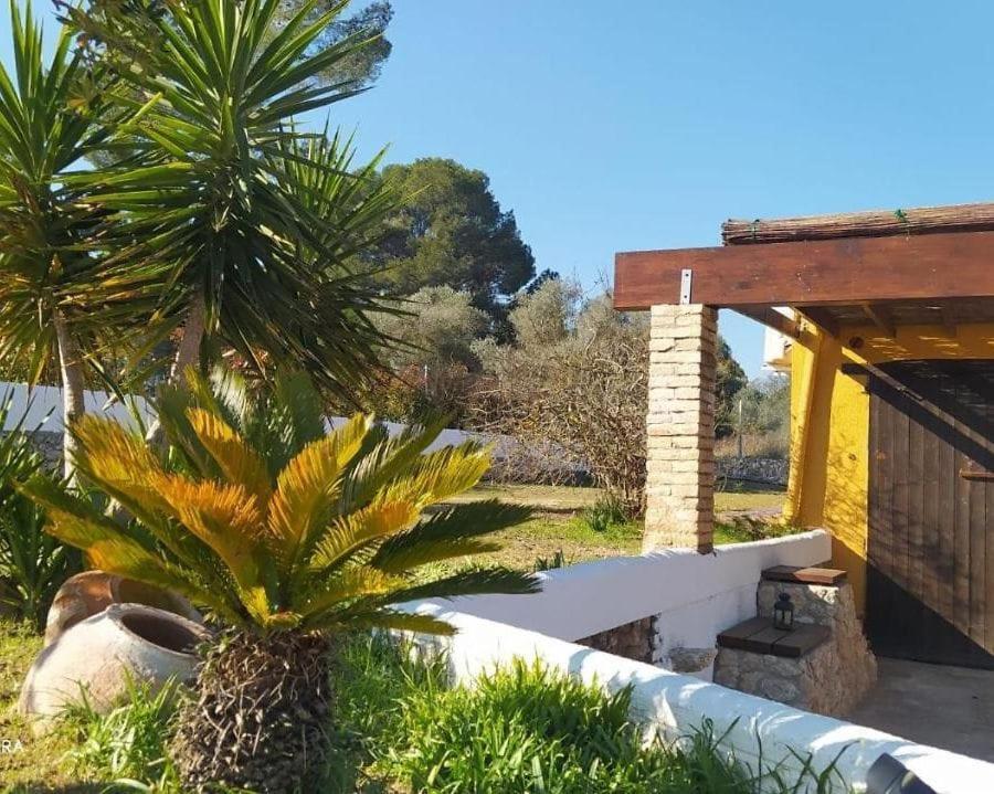 Casa Con Vistas, Piscina Y Animales De Granja, La Caseta Tarragona Dış mekan fotoğraf